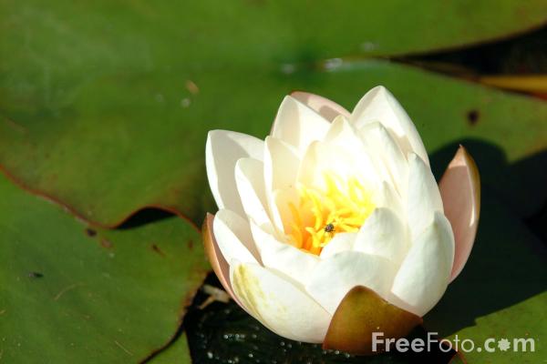 Mon histoire Mon histoire