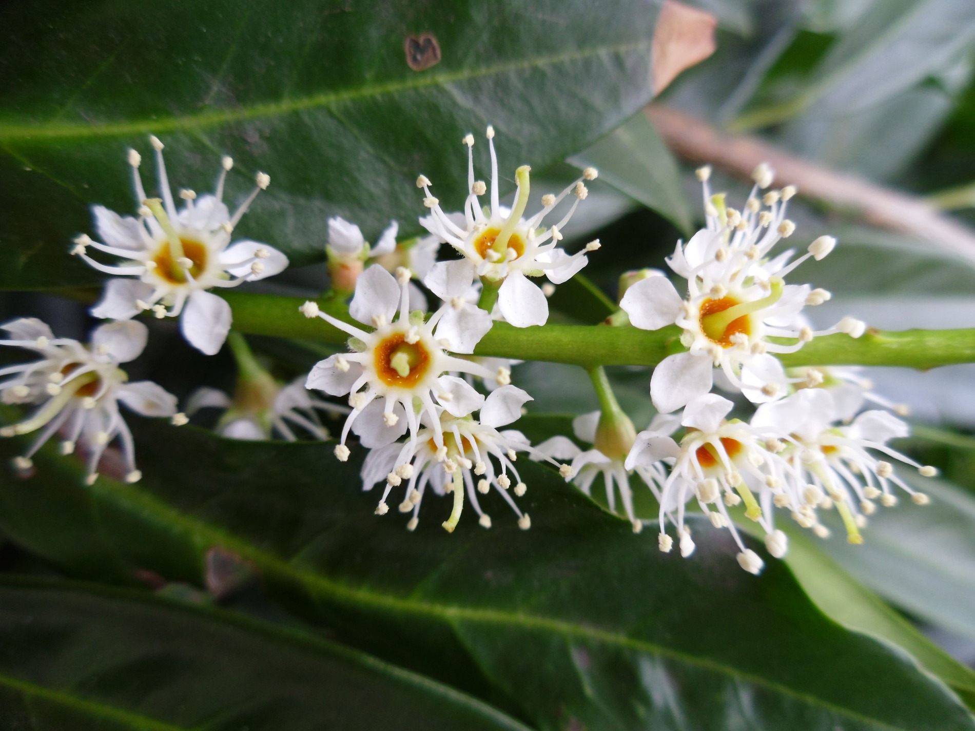 Mon histoire Mon histoire